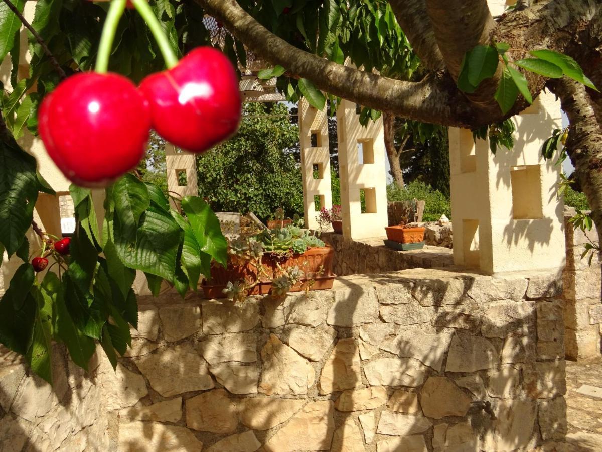 Affittacamere Trulli Di Zia Tata Locorotondo Esterno foto